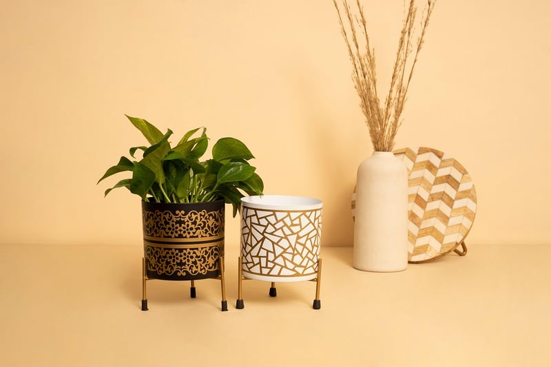 Concrete Planters