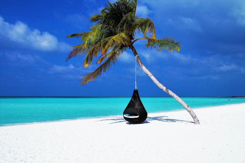 Hammock in a Tropical Setting