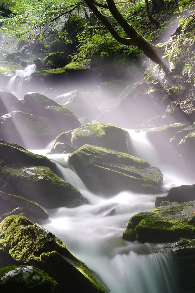 Tropical Waterfall